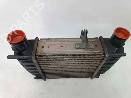 Intercooler RENAULT CLIO III Hatchback Van (SB_, SR_) 1.5 dCi | BP19425885M30 