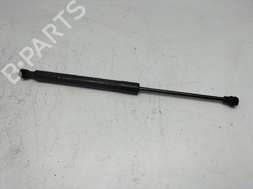 Used Hood lift support RENAULT CLIO IV (BH_) [2012-2021]  14243093