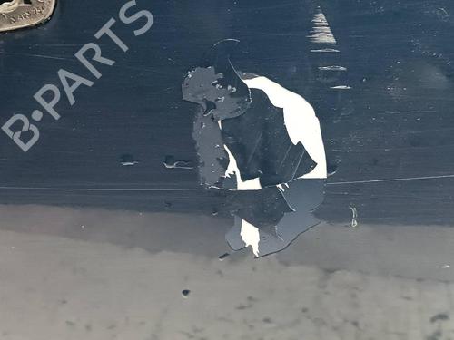 Right front door BMW X3 (E83)  | BP24494391C3 