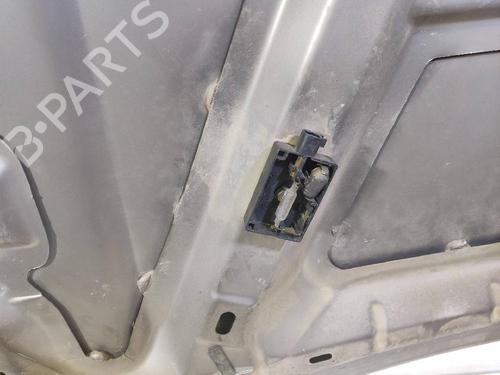 Hood JEEP GRAND CHEROKEE II (WJ, WG) 3.1 TD 4x4 | BP12624648C1 