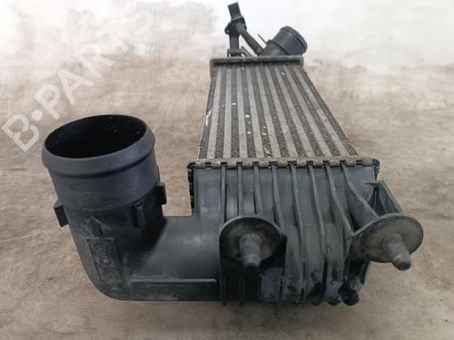 Intercooler PEUGEOT 406 (8B)  | BP22396920M30 