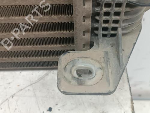 Intercooler NISSAN CABSTAR (F24M, F24W) 35.14 DCI 3.0 (F24M) | BP24549271M30 