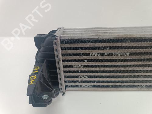 Intercooler FORD TOURNEO CONNECT  | BP24494558M30 
