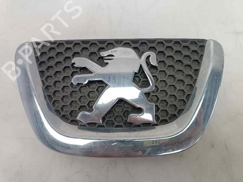 Used Grille PEUGEOT 307 SW (3H) 1.6 HDI 110 (109 hp) 21222894