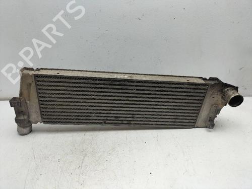 Intercooler RENAULT SCÉNIC II (JM0/1_) 1.5 dCi (JM02, JM13) (101 hp) 13409454