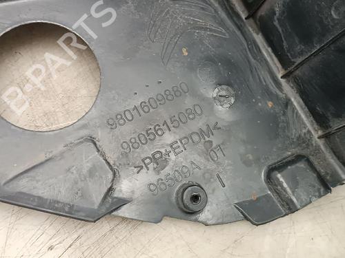 Wheel arch CITROËN C4 CACTUS 1.2 PureTech 130 | BP18917812C56 