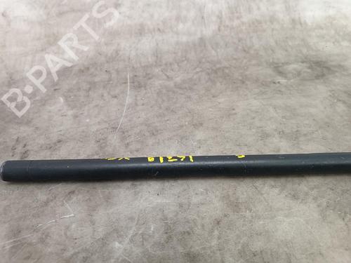 Hood lift support VW GOLF V (1K1)  | BP24494316C139 