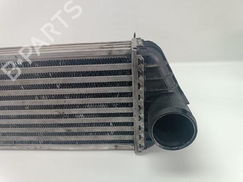 Intercooler FORD TOURNEO CONNECT  | BP24494558M30 