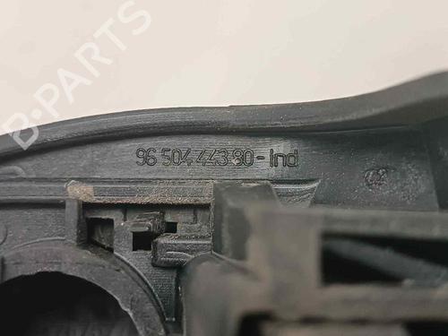 Høyre bak utvendig håndtak CITROËN C3 I (FC_, FN_) 1.4 i | BP18144794C130 