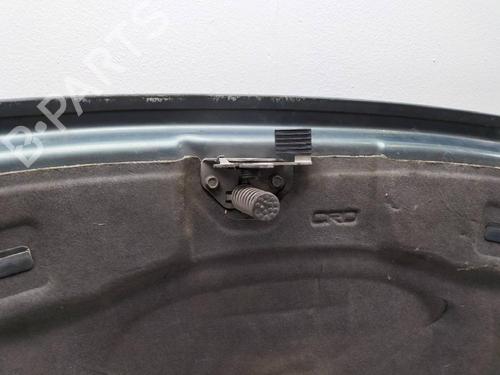 Hood VOLVO S80 I (184) 2.4 D | BP12629338C1 