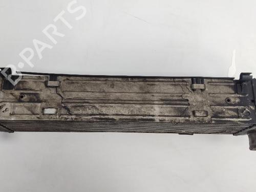 Intercooler LAND ROVER RANGE ROVER SPORT I (L320) 2.7 D 4x4 | BP15561043M30 
