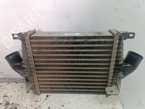 Used Intercooler NISSAN CABSTAR (F24M, F24W) 35.14 DCI 3.0 (F24M) (137 hp) 24549271