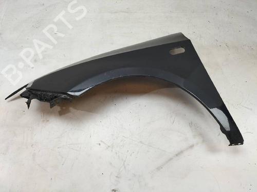 Used Left front fenders SEAT IBIZA IV (6J5, 6P1) [2008-2017]  13531738