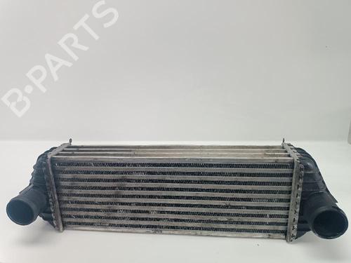 Used Intercooler FORD TOURNEO CONNECT [2002-2013]  24494558