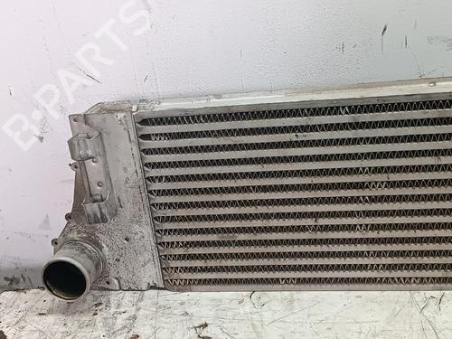 Intercooler RENAULT MEGANE II (BM0/1_, CM0/1_)  | BP24494835M30 