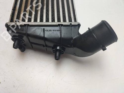 Intercooler NISSAN TERRANO II Van (R20) 2.7 TDi 4WD | BP13625960M30 