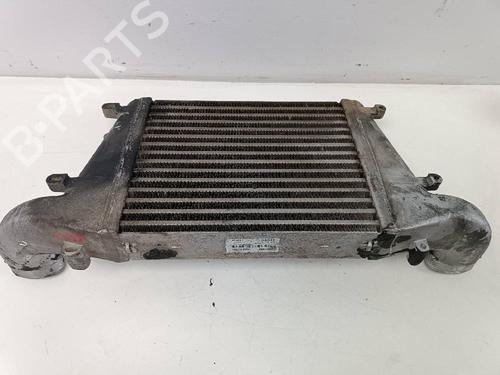 Intercooler NISSAN CABSTAR E (TL_, VL_) 90.32, 90.28, 95.32, 95.28 (TL0) | BP17140930M30 