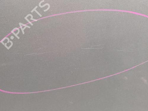 Hood VOLVO S40 II (544) 1.6 D | BP13932367C1 