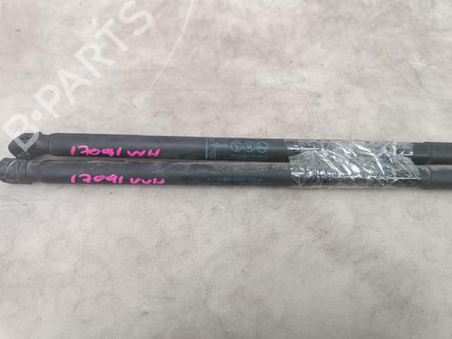 Tailgate lift support OPEL ASTRA J (P10) 1.4 (68) | BP21223105C138 