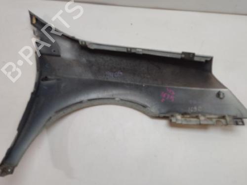 Left front fenders RENAULT VEL SATIS (BJ0_) 3.0 dCi (BJ0J, BJ0N) | BP14368157C41 