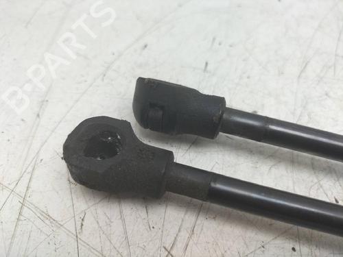Tailgate lift support RENAULT CLIO IV (BH_)  | BP14243094C138 