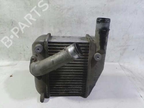 Intercooler NISSAN PRIMERA (P12) 2.2 Di | BP12614249M30 