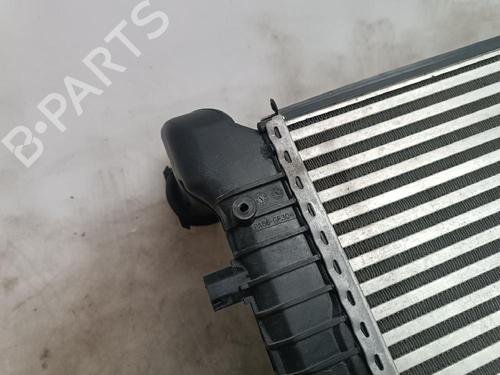 Intercooler VW GOLF V (1K1)  | BP24494315M30 