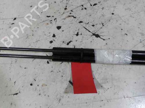 Hood lift support CITROËN XSARA (N1)  | BP14241617C139 