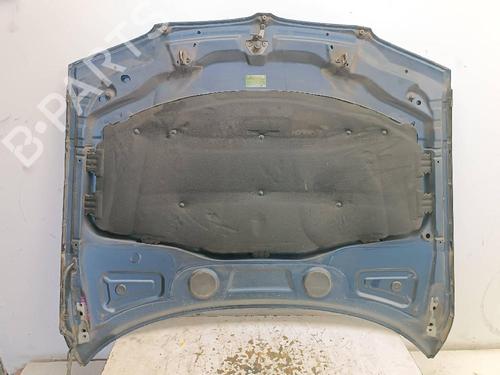 Hood BMW X3 (E83)  | BP21566874C1