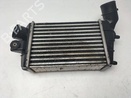 Used Intercooler NISSAN TERRANO II Van (R20) 2.7 TDi 4WD (125 hp) 13625960