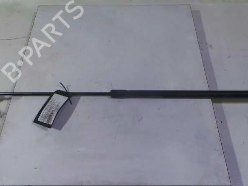 Used Hood lift support VW PASSAT B6 (3C2) 2.0 TDI (140 hp) 14241899