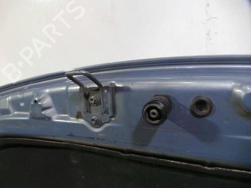 Hood RENAULT GRAND SCÉNIC II (JM0/1_) 1.9 dCi (JM0G, JM12, JM1G, JM2C) | BP12622066C1 