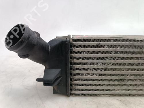 Intercooler PEUGEOT 407 (6D_) 1.6 HDi 110 (6D9HZC, 6D9HYC) | BP20221086M30 