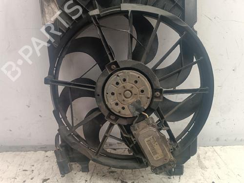 Radiator fan FORD FOCUS II (DA_, HCP, DP)  | BP24468370M35 