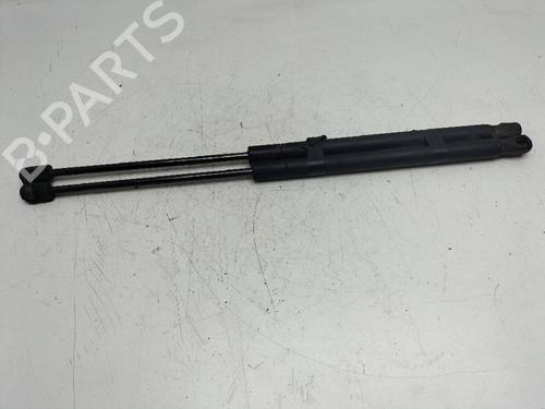 Heckklappendämpfer für FORD FOCUS II (DA_, HCP, DP) 1.8 TDCi (115 hp) 14243055