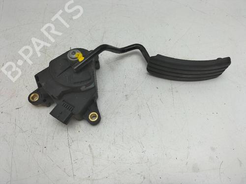 Used Pedal RENAULT CLIO III Hatchback Van (SB_, SR_) 1.5 dCi (86 hp) 12630820