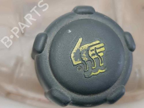 Expansion tank RENAULT CLIO III (BR0/1, CR0/1) 1.5 dCi (BR17, CR17) | BP18040232C120 