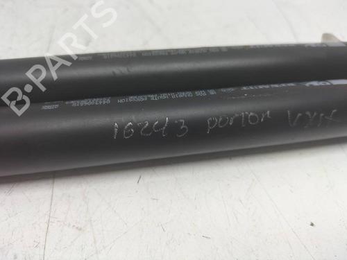Tailgate lift support RENAULT CLIO IV (BH_)  | BP14243094C138 