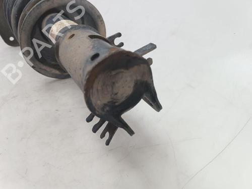 Right front shock absorber PEUGEOT EXPERT (224_)  | BP21222830M17 