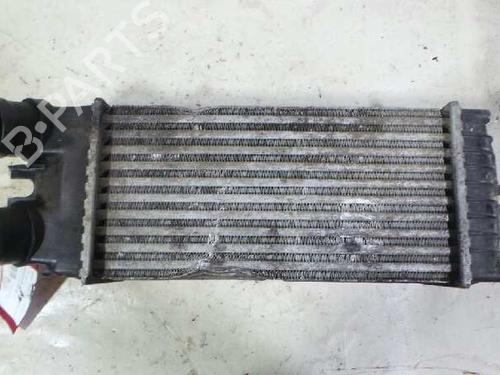 Used Intercooler CITROËN BERLINGO / BERLINGO FIRST Box Body/MPV (M_) 2.0 HDI 90 (MBRHY, MCRHY) (90 hp) 12607886