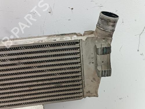 Intercooler RENAULT MEGANE II (BM0/1_, CM0/1_)  | BP24494835M30 