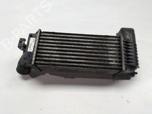 Used Intercooler FIAT STILO Multi Wagon (192_) 2.4 20V (19245ZO) (167 hp) 12627064