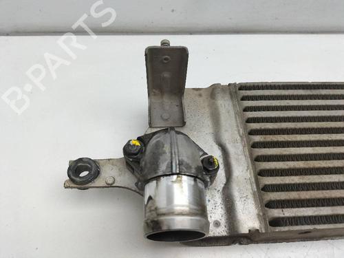 Intercooler NISSAN X-TRAIL II (T31) 2.0 dCi 4x4 | BP12629786M30 
