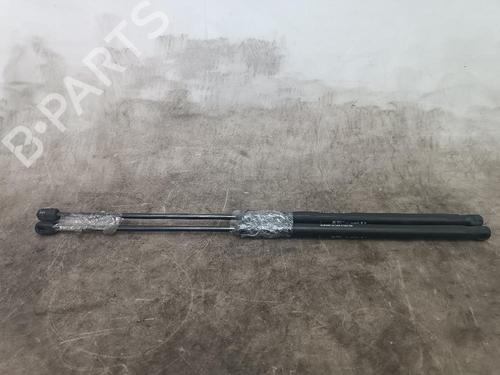 Used Hood lift support CHEVROLET SILVERADO 1500 Crew Cab Pickup 5.3 (299 hp) 24015737