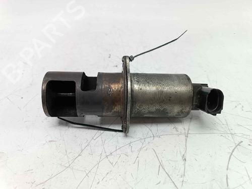 Used Egr RENAULT RAPID Box Body/MPV (F40_, G40_) 1.2 (F406, G40A) (55 hp) 17193101