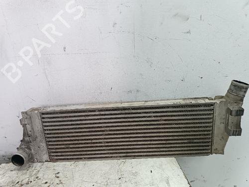 Used Intercooler RENAULT MEGANE II (BM0/1_, CM0/1_) [2001-2012]  24494835