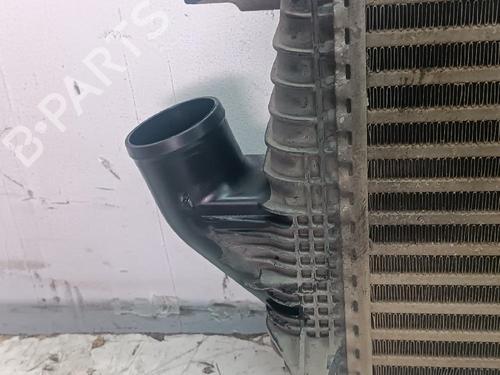 Intercooler NISSAN CABSTAR (F24M, F24W) 35.14 DCI 3.0 (F24M) | BP24549271M30 