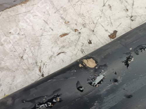 Other BMW X3 (E83)  | BP24494633O1 