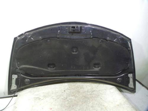 Hood RENAULT CLIO III (BR0/1, CR0/1) 1.5 dCi (BR17, CR17) | BP12631012C1 