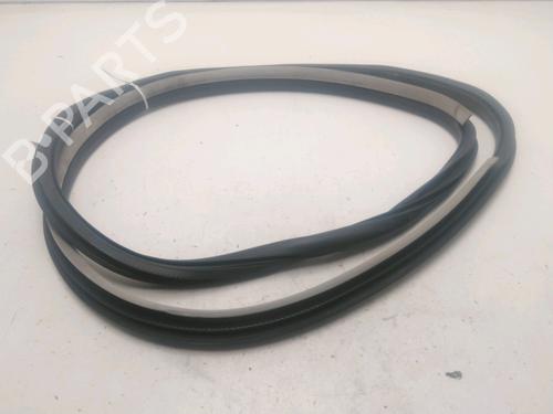 Used Rubber door seal RENAULT LAGUNA III (BT0/1) 1.5 dCi (BT00, BT0A, BT0T, BT1J) (110 hp) 25750921